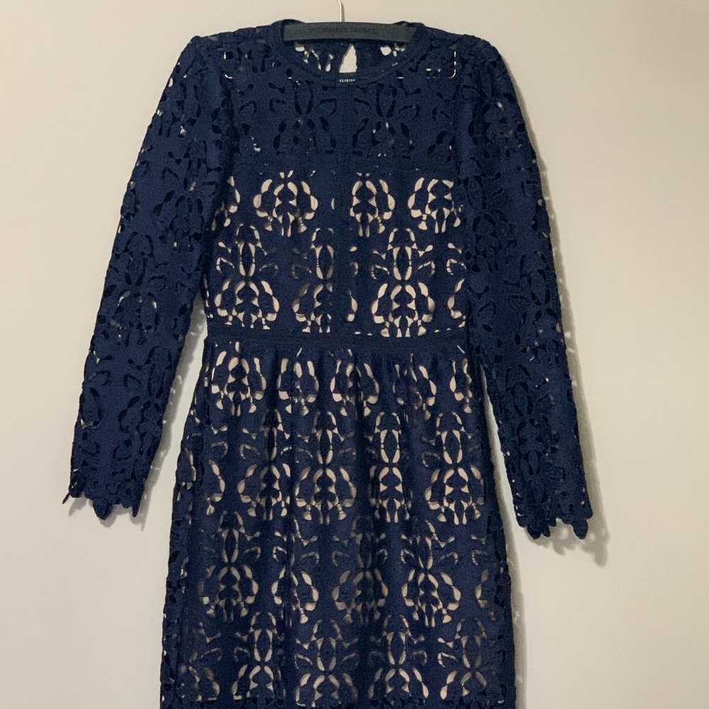 Zara lace embroidered dress
